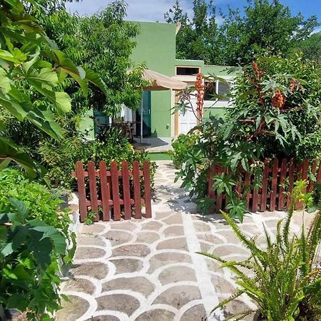 Afionas Das Gruene Haus Екстериор снимка