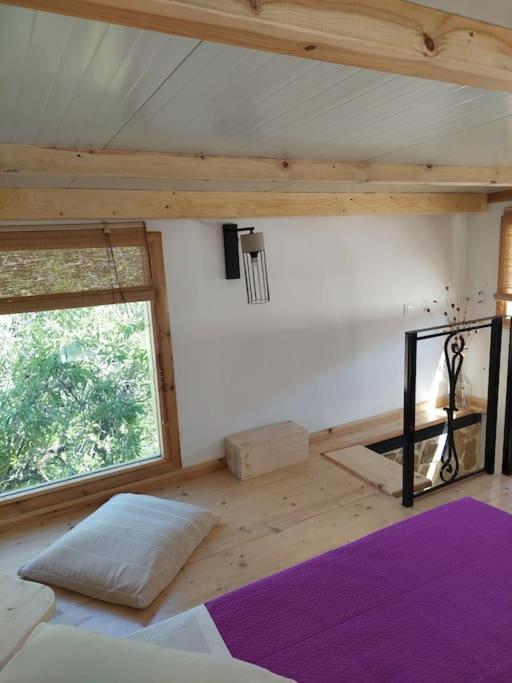 Afionas Das Gruene Haus Екстериор снимка